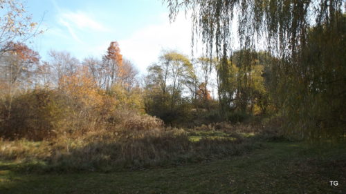 Looking SE, from down below